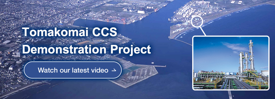 CCS PROJECTS WORLDWIDE