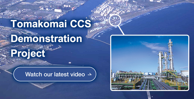 CCS PROJECTS WORLDWIDE