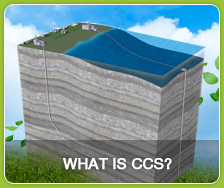 CCS STRUCTURE
